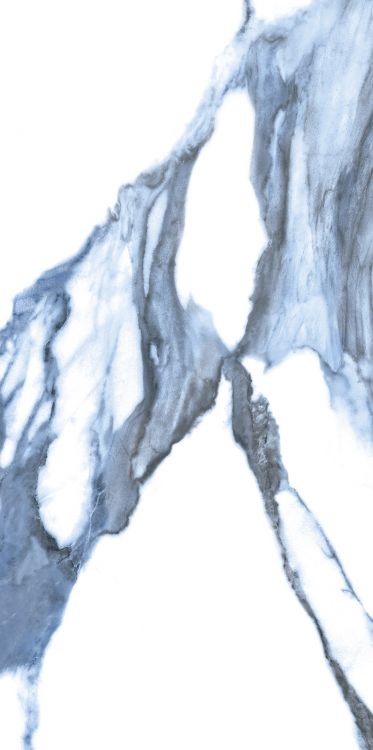 Calacatta Blue Polished 12 x 24